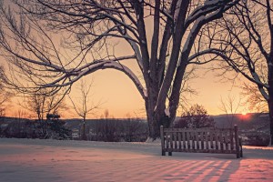 snow-dawn-sunset-winter-large