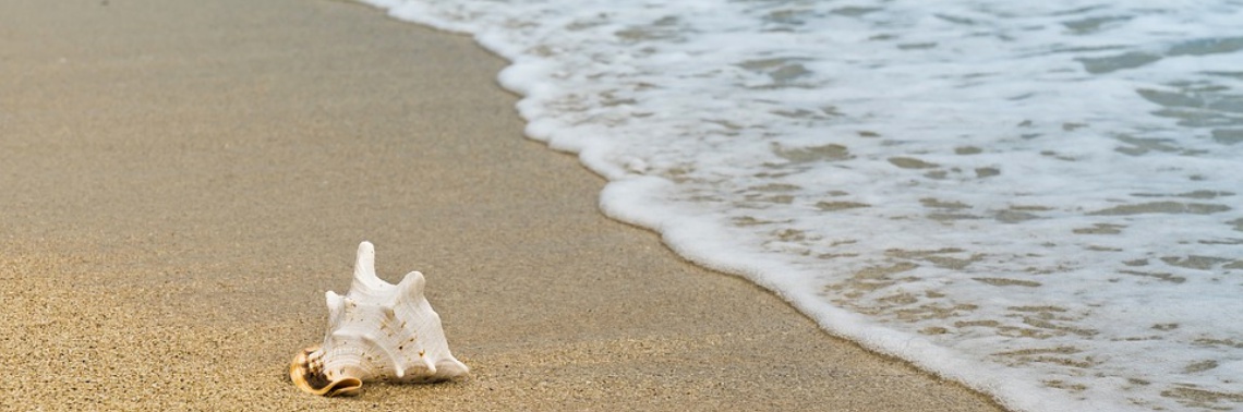 Common Summer Illnesses You Need to Avoid (Part 1)