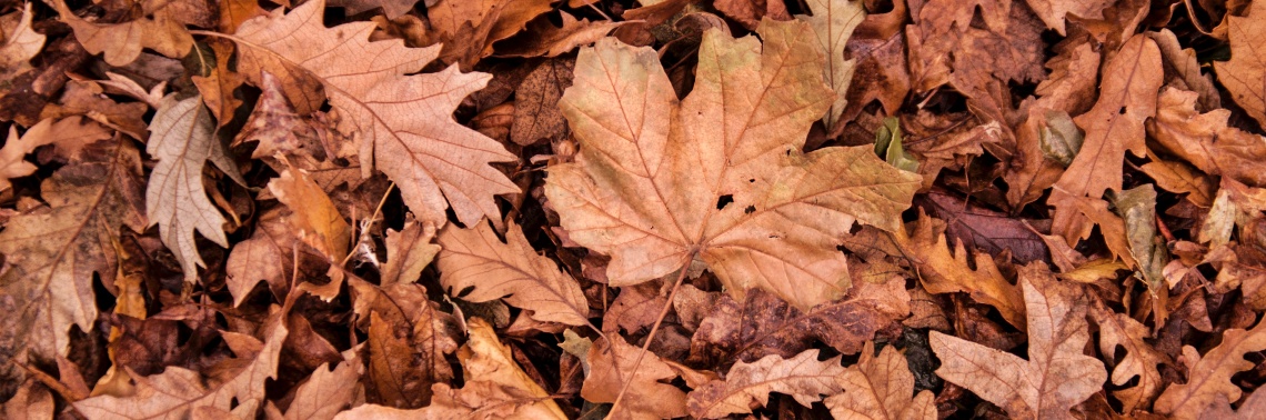 Five Health Tips for Autumn