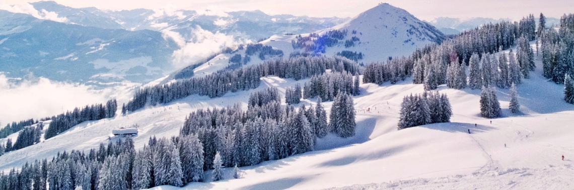 Chase the Winter Blues Away