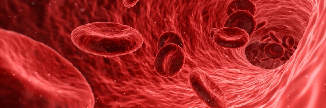 December One is World Aids Day