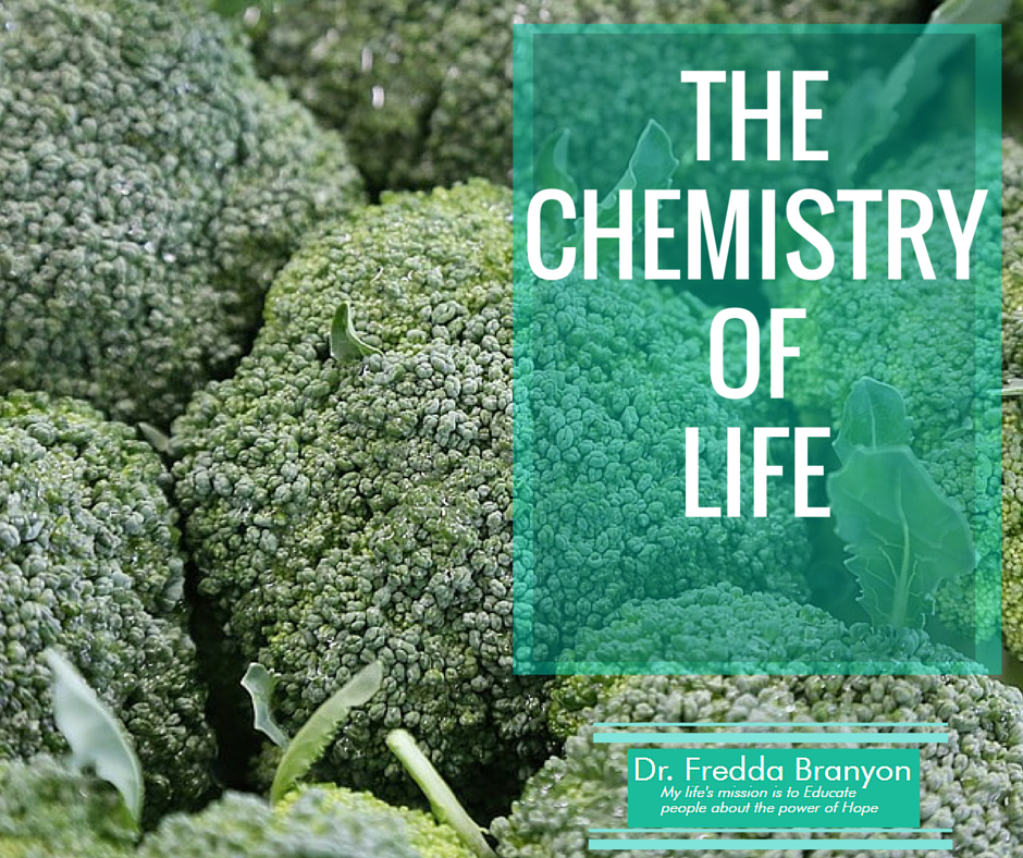the chemistry of life