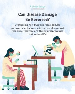 Can Disease Damage Be Reversed?