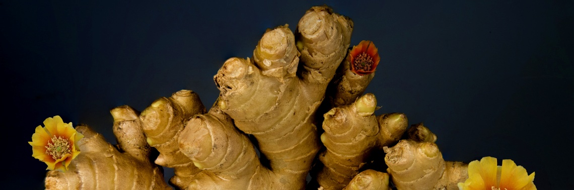 Scientists Create Tasty Ginger Beverages