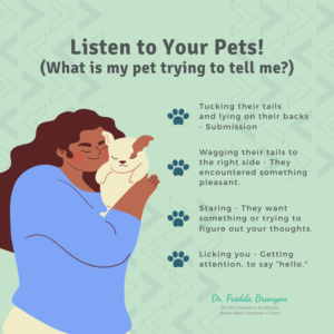 Listen to Your Pets! Image