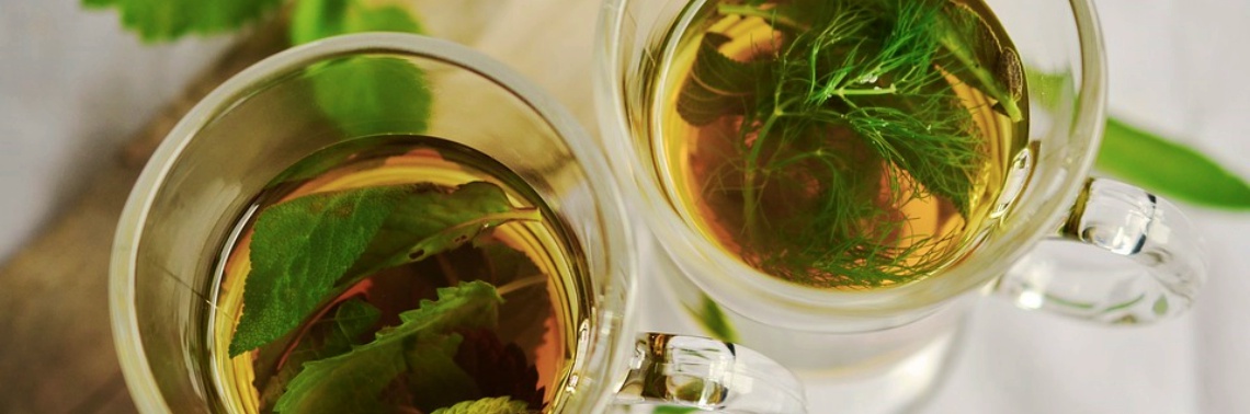 Herbs and Adaptogens: Echinacea, Astragalus, and Elderberry for Immune Health