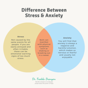 Anxiety & Stress Facts Image