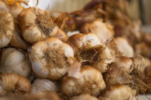 Garlic Aroma In Breast Milk