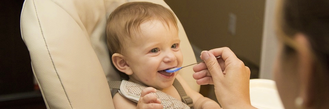 Baby Food-Store Bought or Homemade?