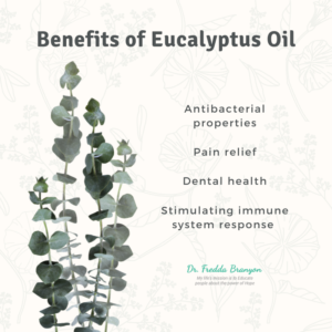Eucalyptus Oil Image