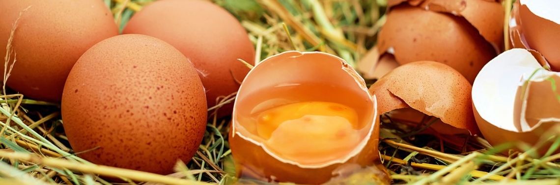 Love those Egg Yolks