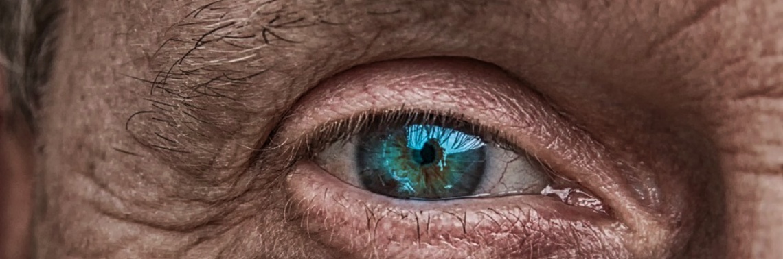 What Our Eyes Are Saying