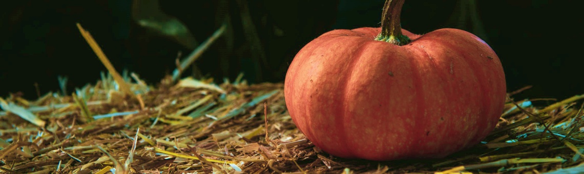 How Good are Pumpkins?
