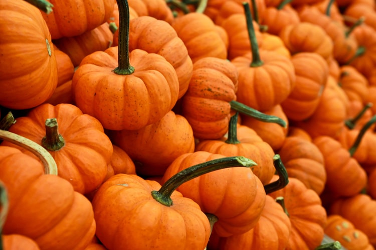 Benefits of Pumpkins