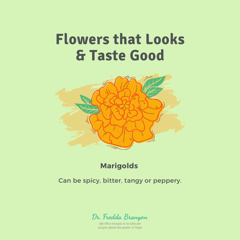 Flowers that Looks & Taste Good Dr. Fredda Branyon