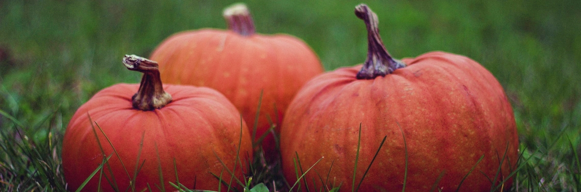 Pumpkin: Spicing Up Festivities and the Heart