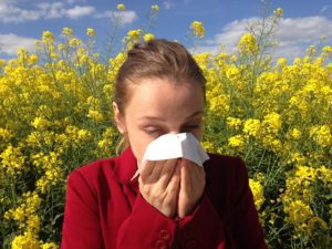 Kick Seasonal Allergies to the Curb
