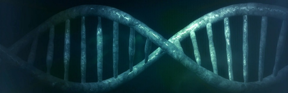 Gene Mutation & Sleep