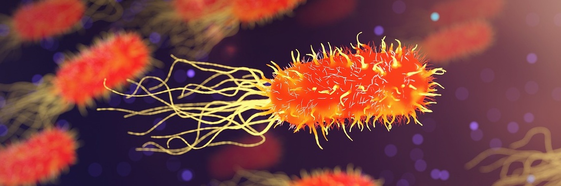 Electricity In Our Gut?