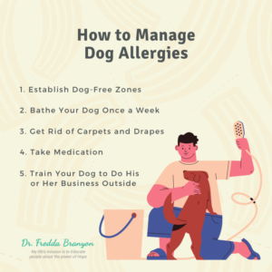 Dog Allergies: How to Make It Work Between You and Your Best Friend Image