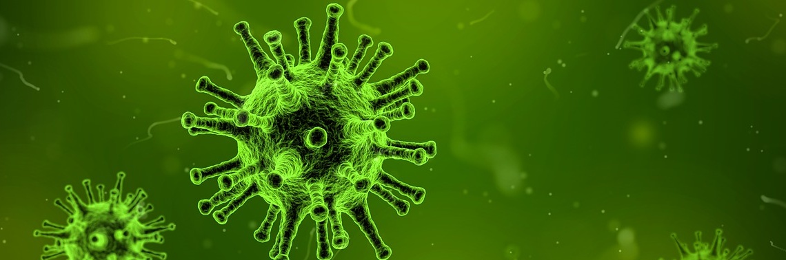 Viruses Stimulate Immune System & Fight Cancer