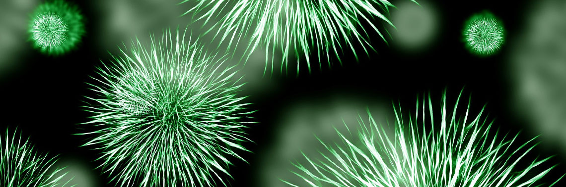 Cancer Evades The Immune System