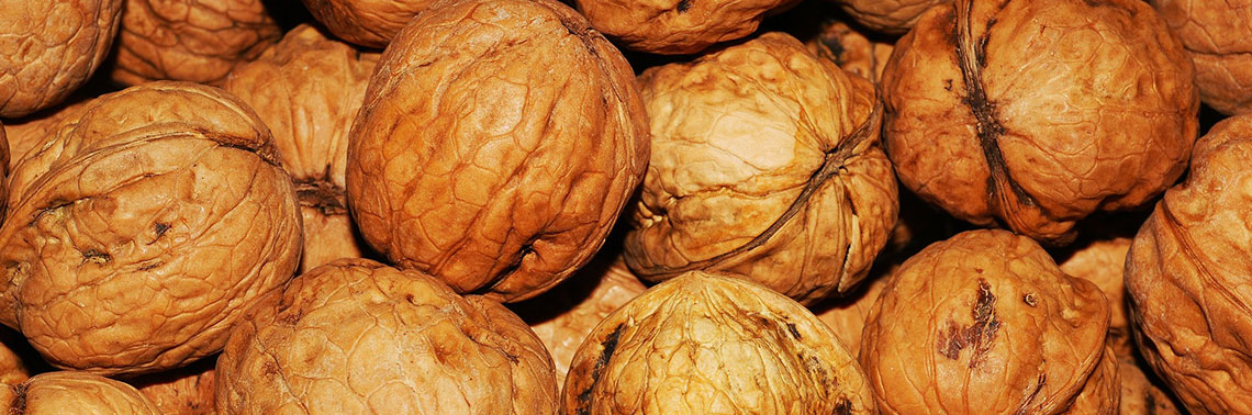 Walnuts’ Wide Range Health Benefits