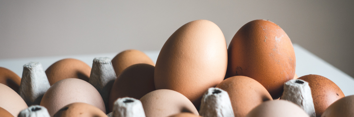 Best Eggs When Fighting Cancer