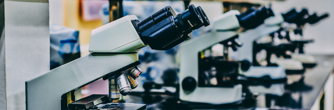 Targeting the Enzyme of Cancer