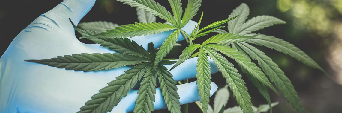 Psychoactive Calls Increased