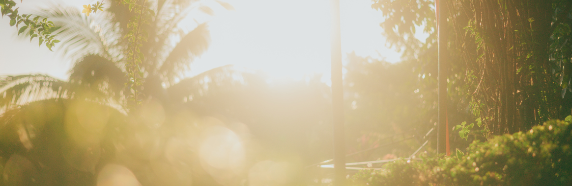 Sunlight & Vitamin D: How Sunlight Exposure Strengthens the Immune System